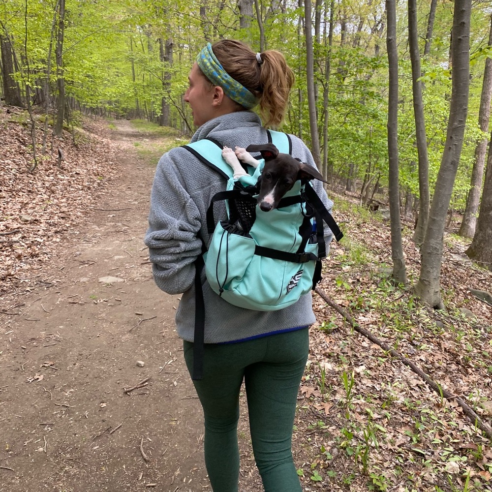 K9 Sport Sack Air 2